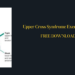 Upper Cross Syndrome Exercises PDF